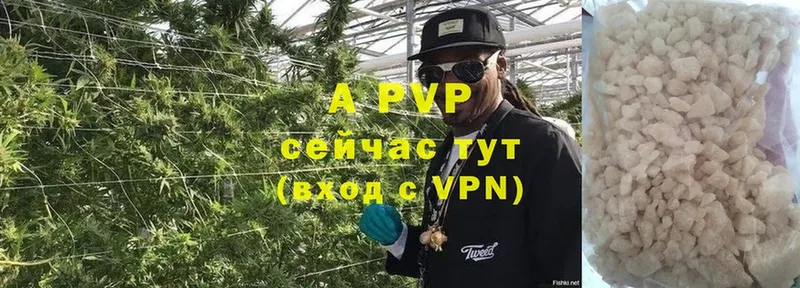 Alpha PVP СК КРИС  Кяхта 